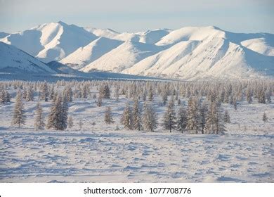 Oymyakon Yakutia Russia Winter Landscape Snowcovered Stock Photo 1077708776 | Shutterstock