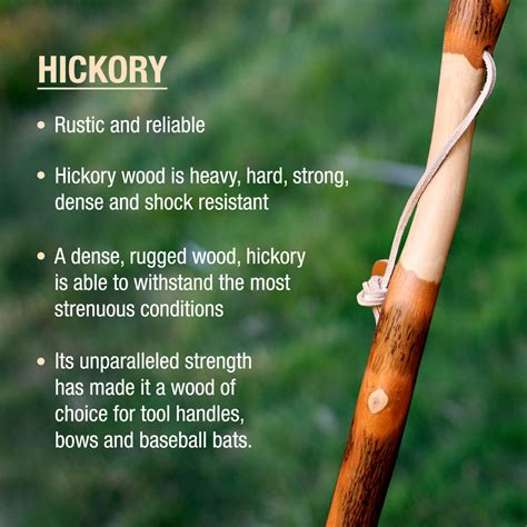 Twisted Hickory Rustic Walking Stick – Brazos Walking Sticks