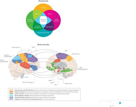 Diagnosis and management of functional neurological disorder | The BMJ