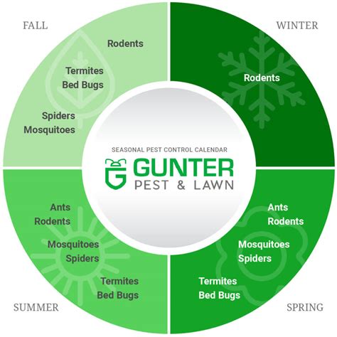 Seasonal Pest Control Threats and How to Navigate Them | Gunter