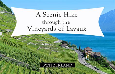 A Scenic Hike through the Vineyards of Lavaux, Switzerland ...