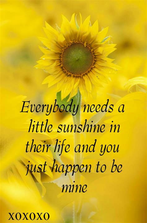 Your my sunshine | Sunshine quotes, Sunflower quotes, Sunshine love