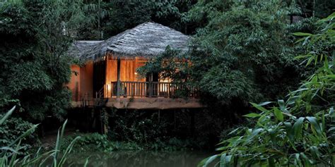 Top 5 Luxury Resorts in Wayanad 2024