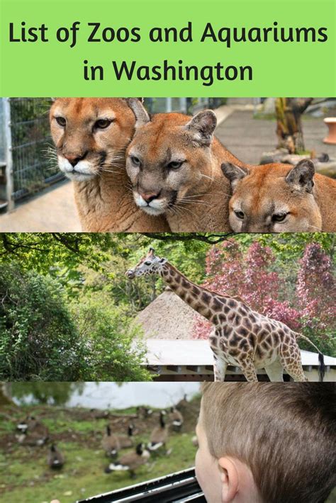 List of Zoos and Aquariums in Washington in 2021 | Zoo, Aquarium, Woodland park zoo