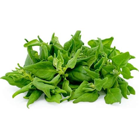 New Zealand Spinach Seeds (Tetragonia tetragonoides) - Price €1.85