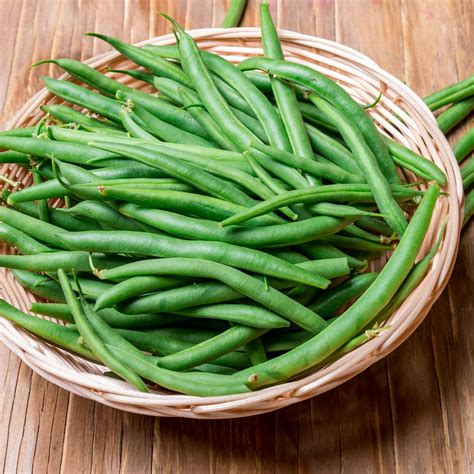 Harvester Bush Bean Seeds - 1 Lb - Non-GMO, Heirloom Green Bean Seeds - Vegetable Garden Seeds ...