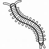 Centipede Coloring Page At GetDrawings  Free Download sketch template