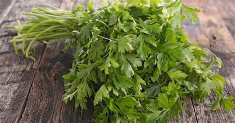 Top 17 Parsley Alternatives You Want To Know | KetoVale