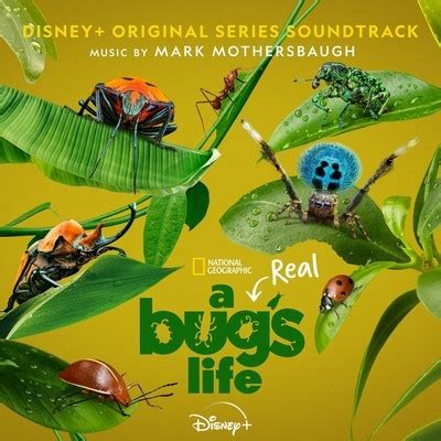 A Real Bug’s Life Soundtrack (by Mark Mothersbaugh)