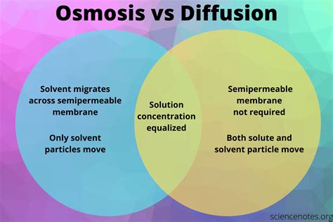 Osmosis vs Diffusion - Definition and Examples