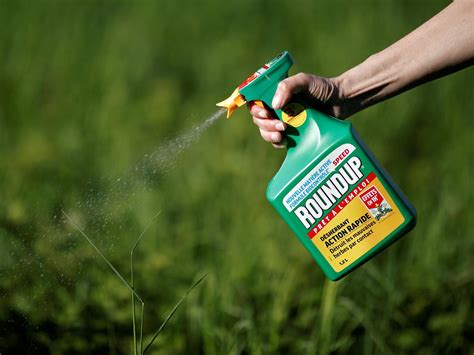 Roundup weedkiller could be pulled from British shelves after $289m US lawsuit finds link to ...