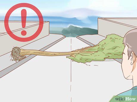 5 Ways to Survive an Earthquake - wikiHow