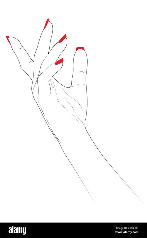 Human hand with red nail polish, line art style, minimalism Stock ...