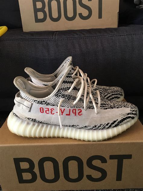 Adidas yeezy 350 boost v2 zebra on feet kok ovh