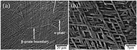 Crystals | Free Full-Text | Study of Initial β-Zr Formation in β ...