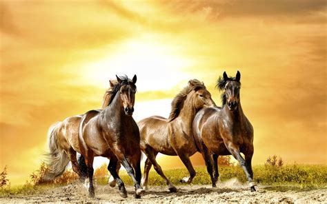 Running Horses Wallpaper - WallpaperSafari