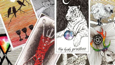 The Wild Unknown Tarot | My Wandering Fool Tarot