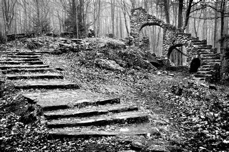 A Photographic Sage: A Staircase in the Woods...