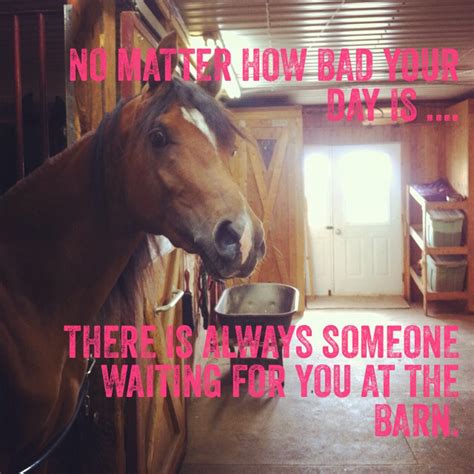 Horse Friendship Quotes. QuotesGram