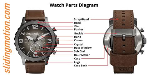 Complete Guide to Understand Parts of Watch: Names & Diagram