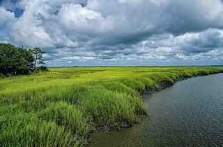 Georgia Salt Marshes | Little St. Simon's Island, Georgia | Trish Hartmann | Flickr