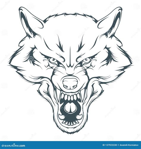 Wolf Head Vector Drawing, Wolf Face Drawing Sketch, Wolf Head in Black ...