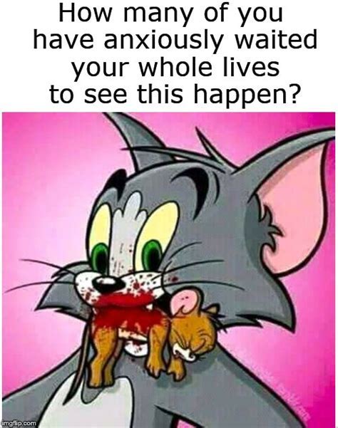 Jerry mouse Memes