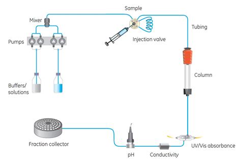 Benefits of automated protein purification | Cytiva