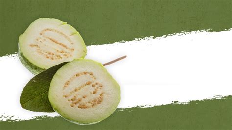 Guava Seeds Benefits: ઔષધિય ગુણોનો ખજાનો છે જામફળનાં બીજ, અનેક સમસ્યાઓને દૂર કરે છે