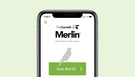 Merlin Bird ID – Free, instant bird identification help and guide for ...