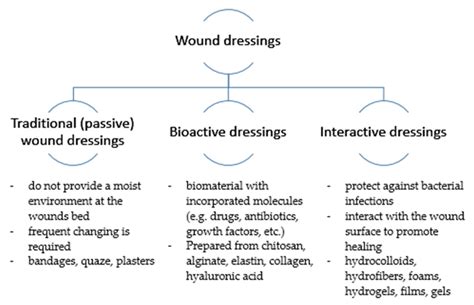 Applied Sciences | Free Full-Text | Modifications of Wound Dressings with Bioactive Agents to ...