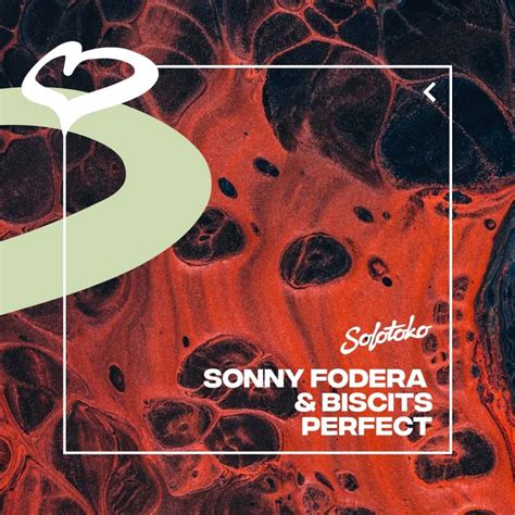 Sonny Fodera & Biscits - Perfect Lyrics and Tracklist | Genius