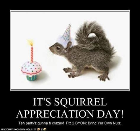 Knuckledraggin My Life Away : It's Squirrel Appreciation Day!