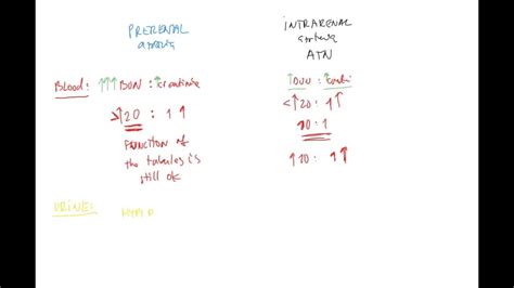 Nephrology 8 ENG (prerenal vs. intrarenal azotemia, BUN:creatinine ratio, FENA, isosthenuria ...