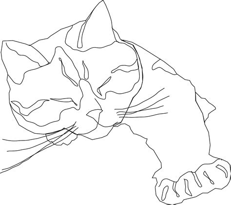 Download Sleeping Cat Line Art | Wallpapers.com