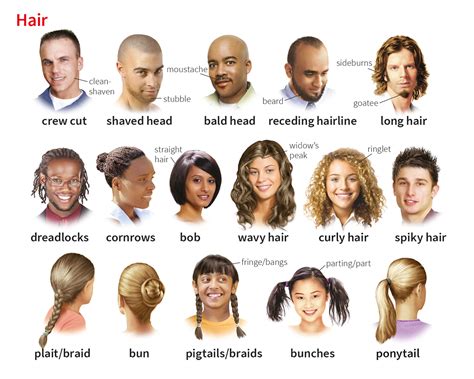 hair noun - Definition, pictures, pronunciation and usage notes | Oxford Advanced Learner's ...