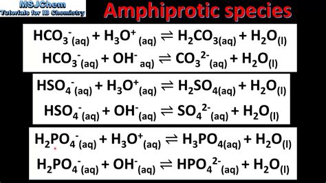 R3.1.3 Amphiprotic species - YouTube