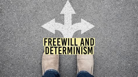 Freewill vs Determinism In Psychology