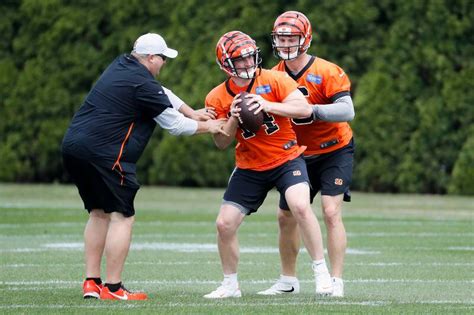 Alex Van Pelt: 3 things to know about the Browns’ new offensive ...