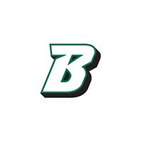 Download Binghamton Bearcats Icon Logo Vector & PNG