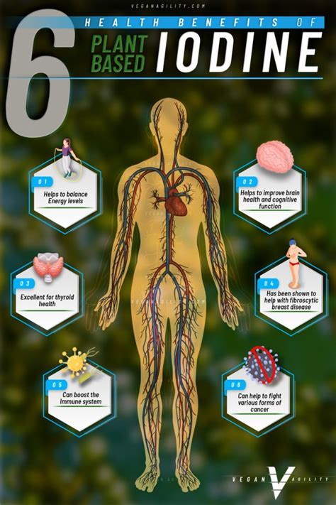 Vegan Iodine Infographics - Vegan Agility