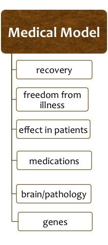 Mental Illness: Medical Model Of Mental Illness