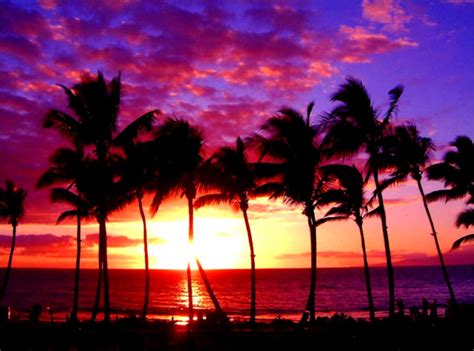 Purple Beach Sunset Wallpapers - Wallpaper Cave