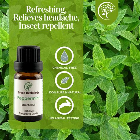 Peppermint Essential Oil With ISO-9001 Cert - Green Herbology