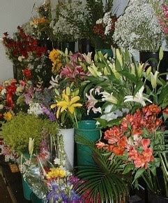 About Us - EAST MEADOW FLORIST - East Meadow, NY