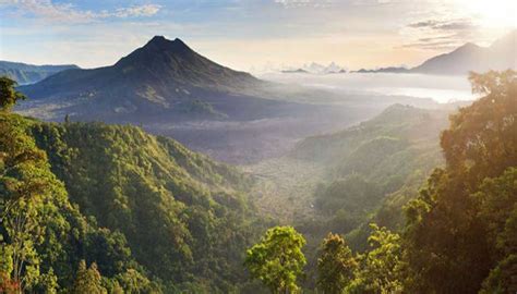 KINTAMANI VOLCANO TOUR | Excellent Services by Tripadvisor - Bali Custom Tour