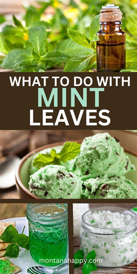 What to do with Mint Leaves?