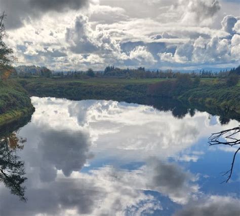 Chehalis River Lamprey habitat - LewisTalkWA