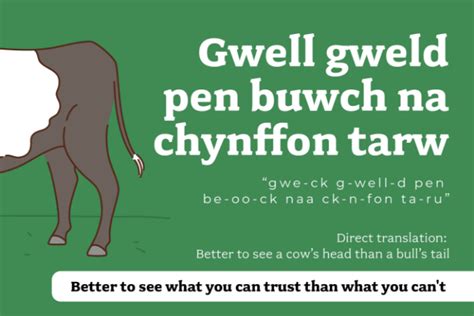 16 Welsh Words and Welsh Phrases You Need to Know - Sykes Holiday Cottages