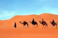 sustainable land use in traditional pastoralism and nomadism